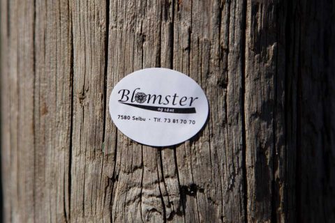 klister