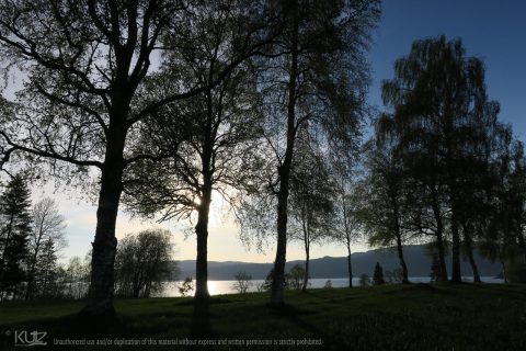 Naturfoto