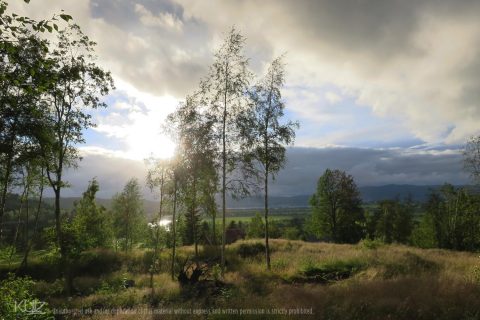 naturfoto
